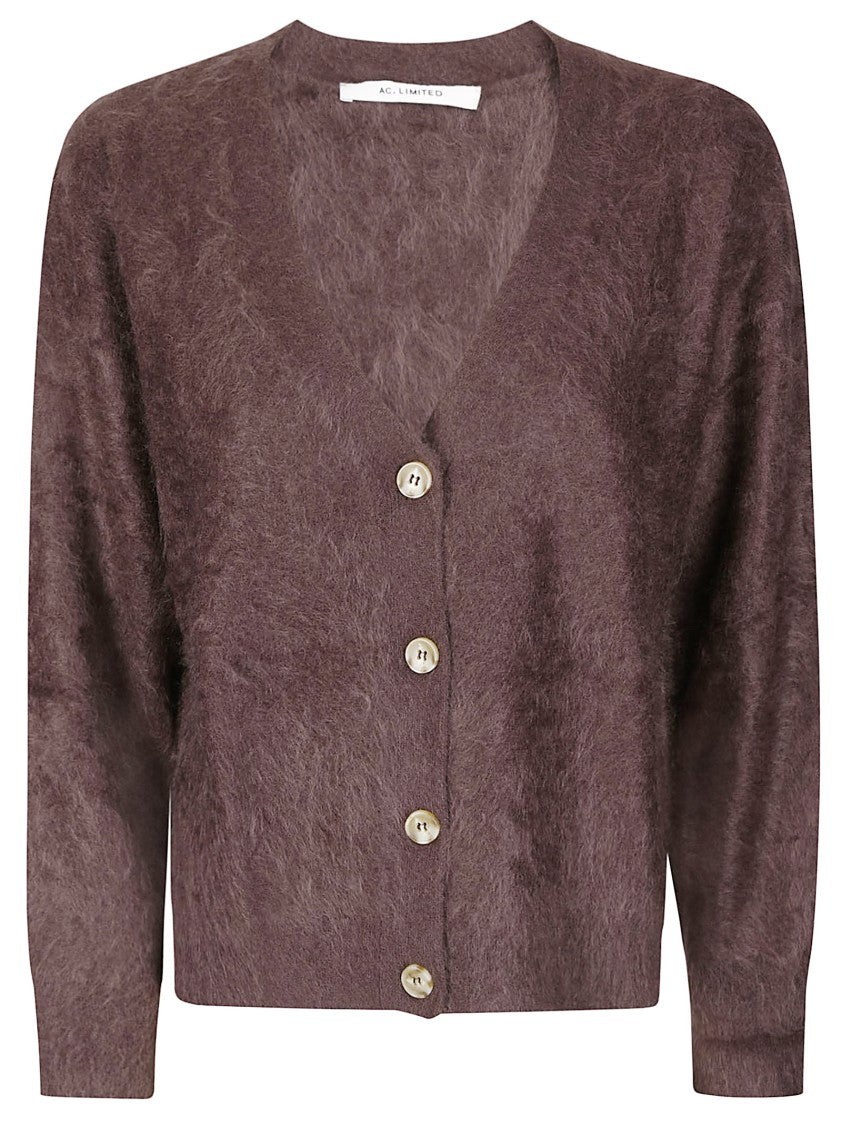 Absolut Cashmere Cashmere Cardigan With Button Closure