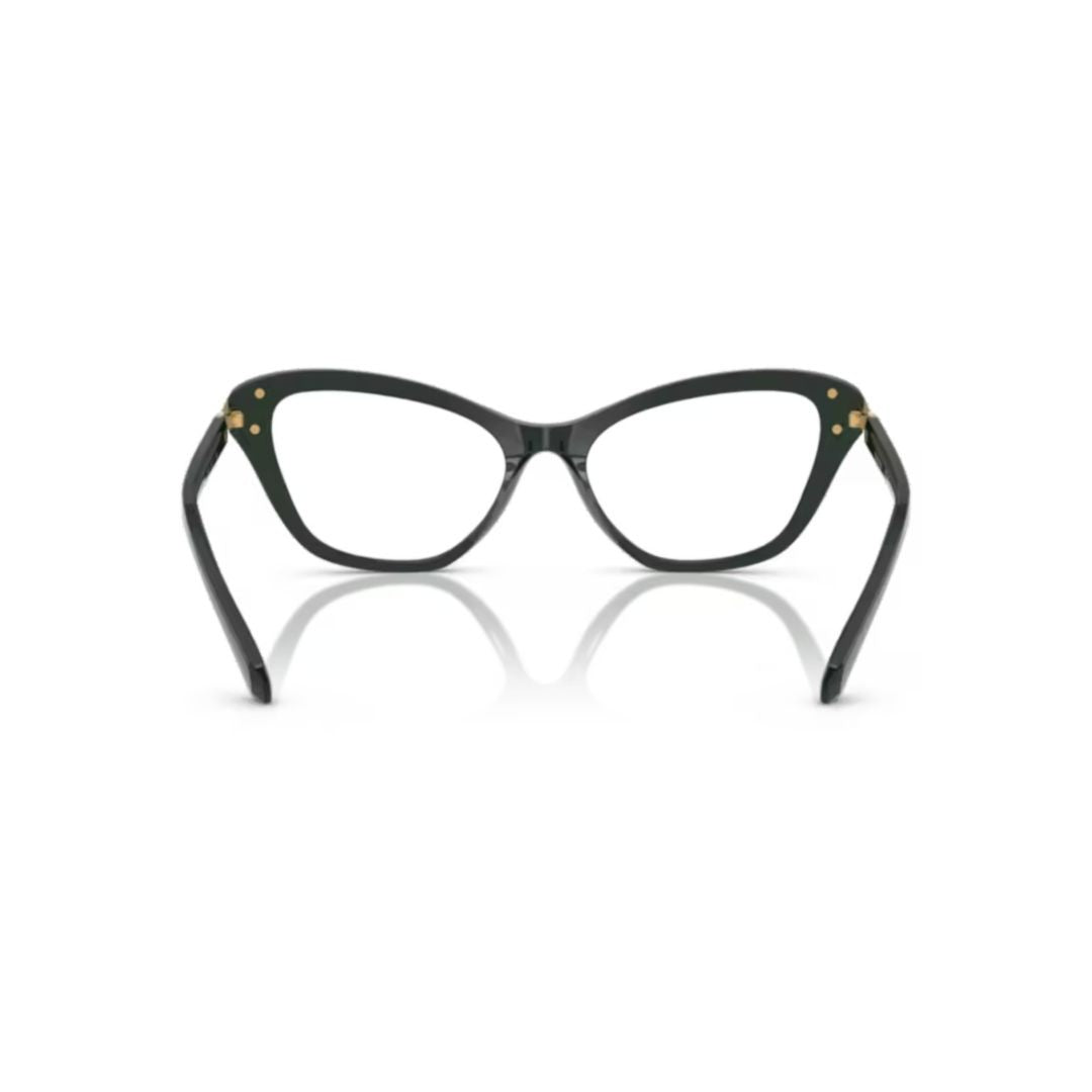 Swarovski 0Sk2031 Cat-Eye Acetate Sunglasses