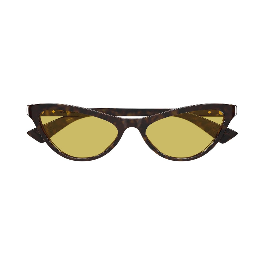 Bottega Veneta Bv1414s Cat-Eye Sunglasses