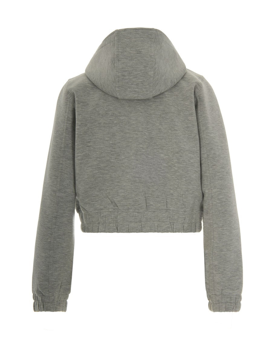 Pinko Gray Birillo Sweatshirt