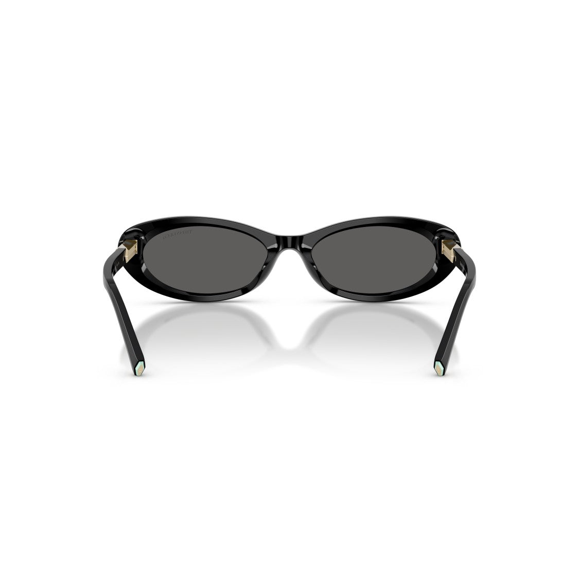 Tiffany & Co. 0Tf4250 Elongated Oval Sunglasses