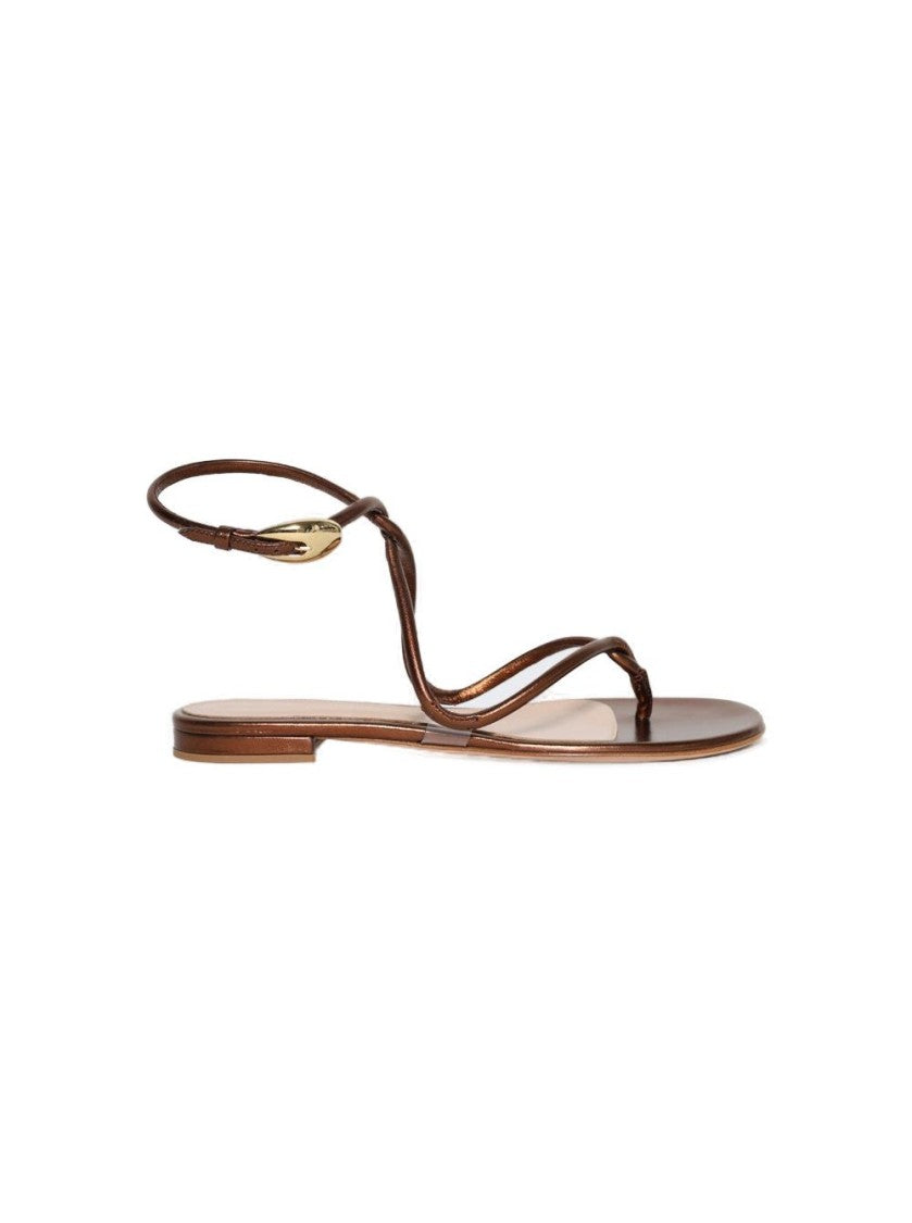 Gianvito Rossi Black Mamba Flat Sandals Chocolate
