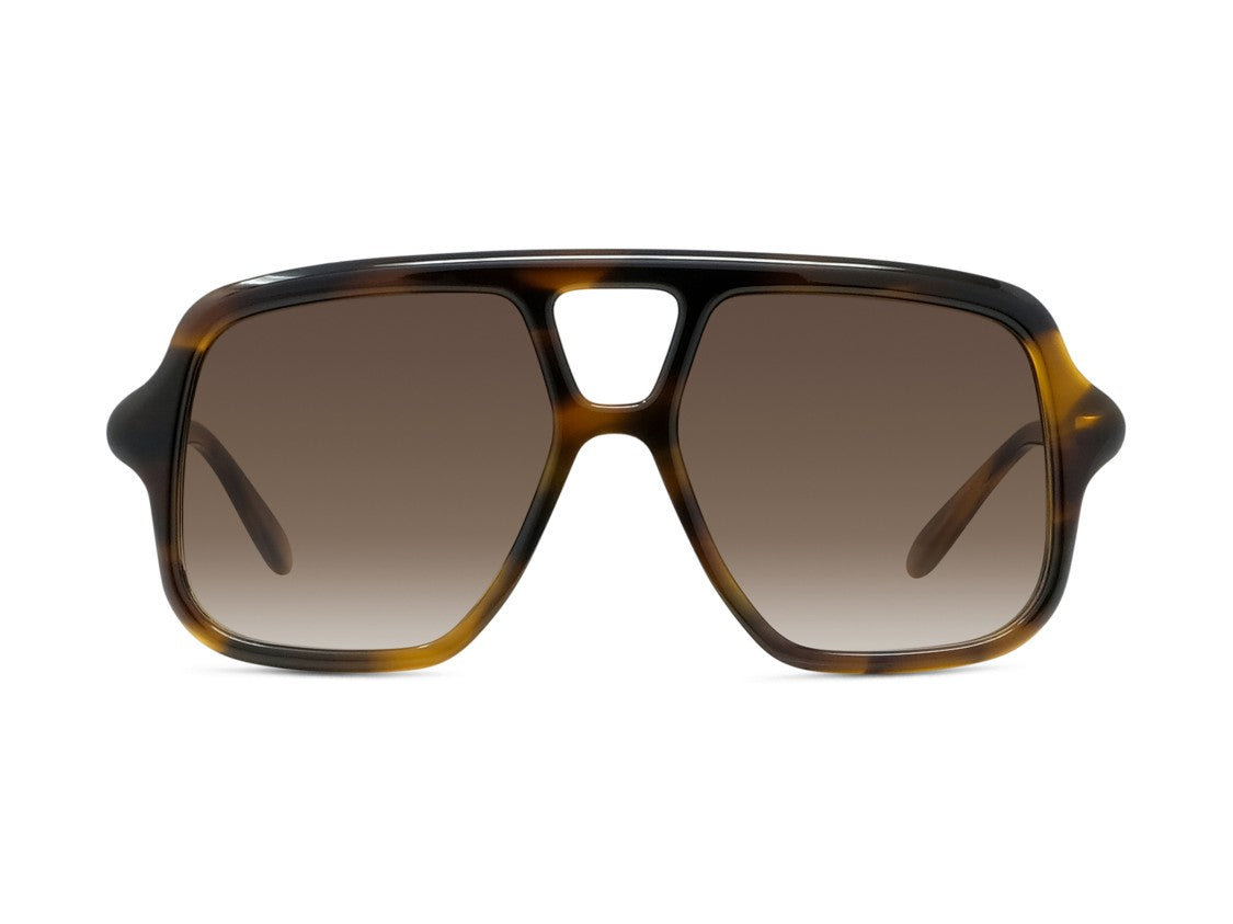 Loewe Tortoiseshell Lw40161u Oversized Square Acetate Sunglasses