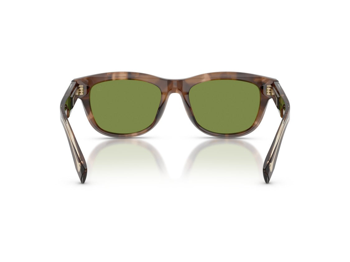 Brunello Cucinelli Tortoiseshell 0Bc3016s Acetate Square Sunglasses
