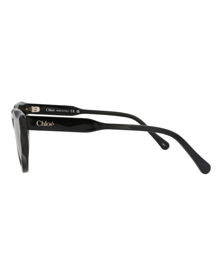 Chloé Cat Eye-Frame Recycled Acetate Sunglasses