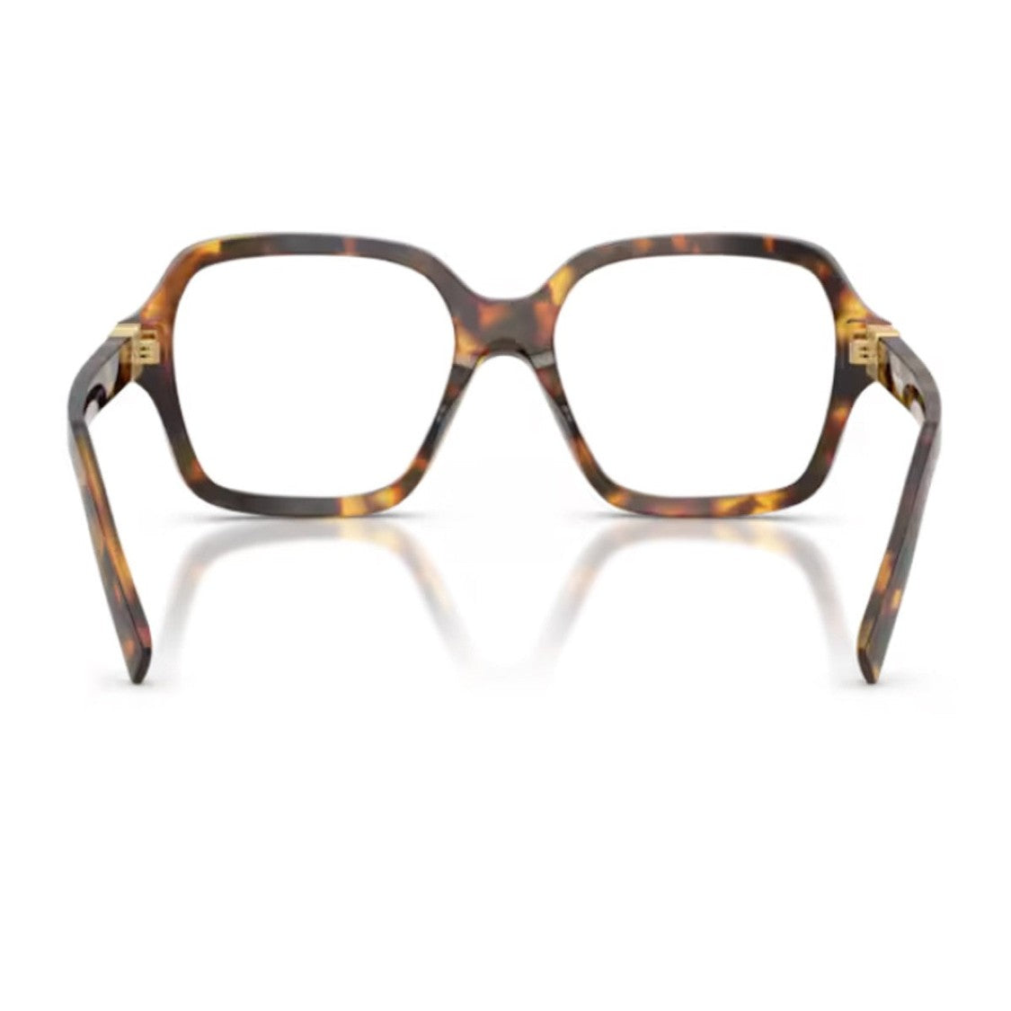 Miu Miu Havana Miu Regard Acetate Square Sunglasses