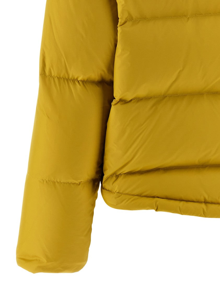 Yves Salomon Fur Insert Down Jacket