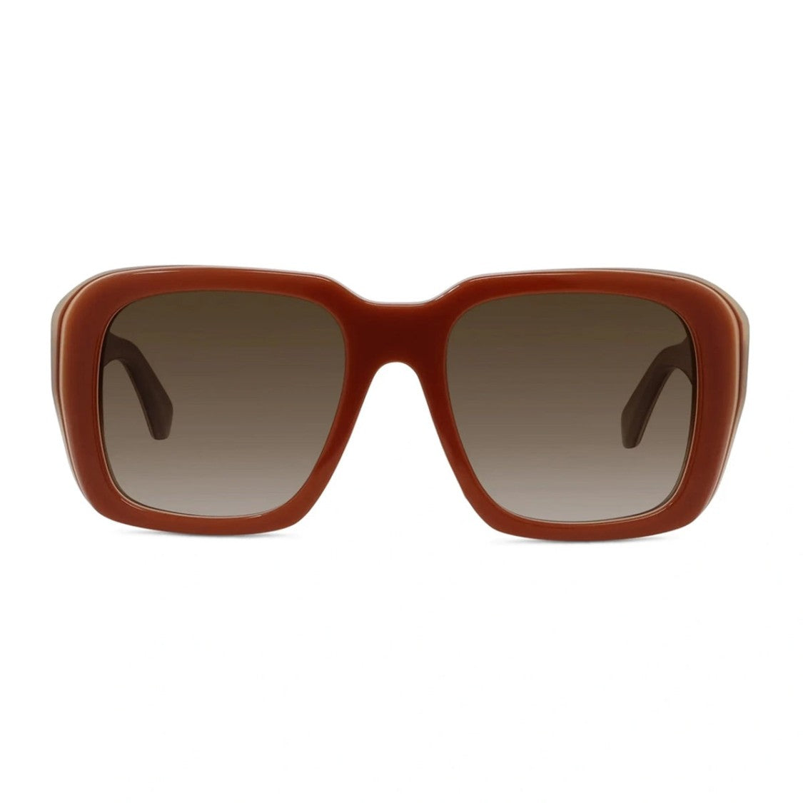 Loewe Terracotta Oversized Acetate Sunglasses