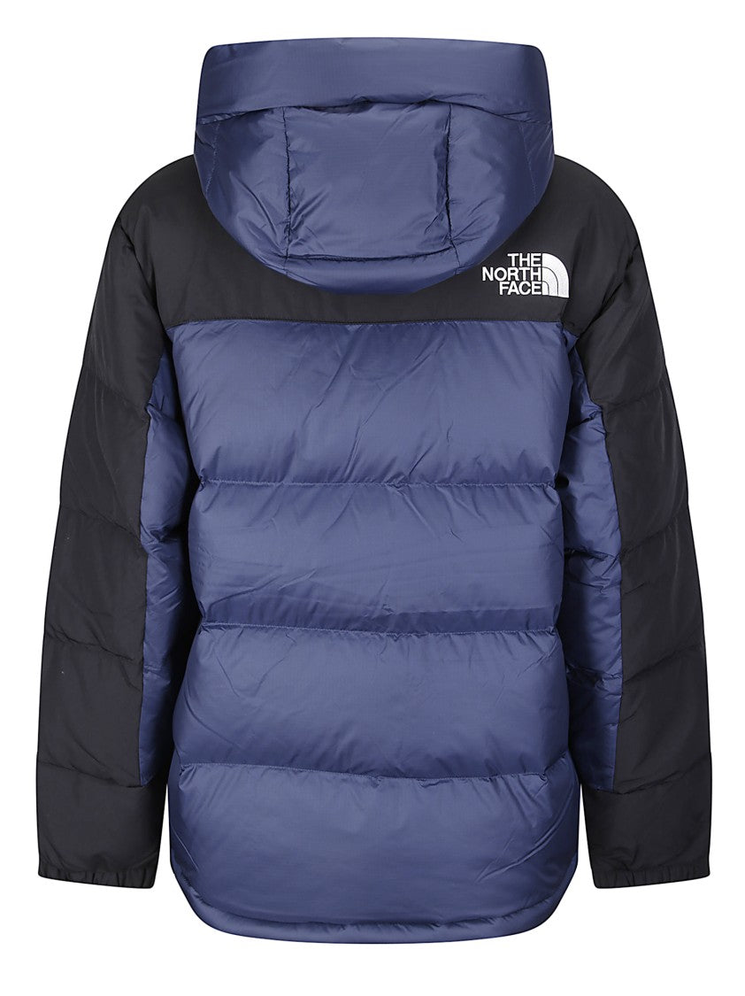 The North Face Insulated M Hmlyn Down Parka With Streamlined Silhouette