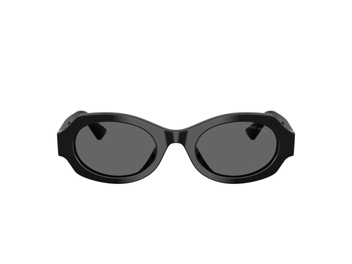 Giorgio Armani 0Ar8245hu Glossy Acetate Oversized Round Sunglasses
