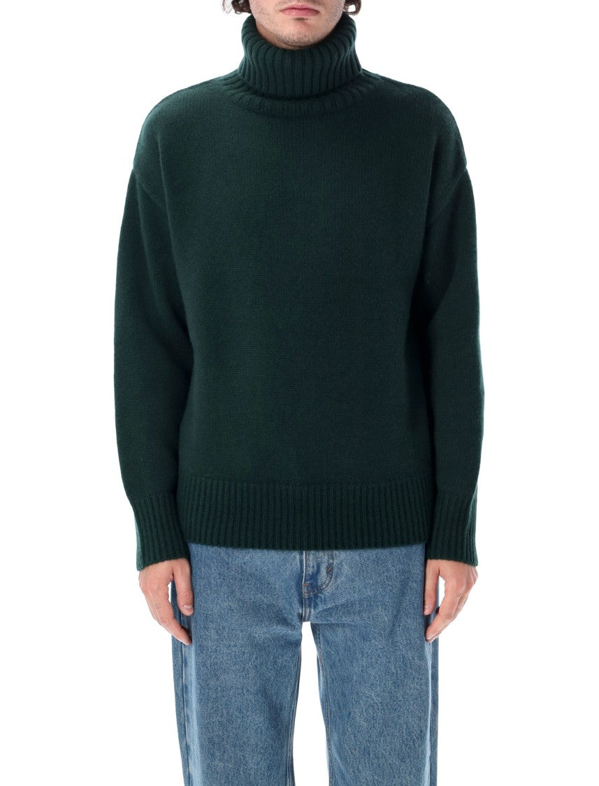Extreme Cashmere Extra High Neck Oversized Sweater
