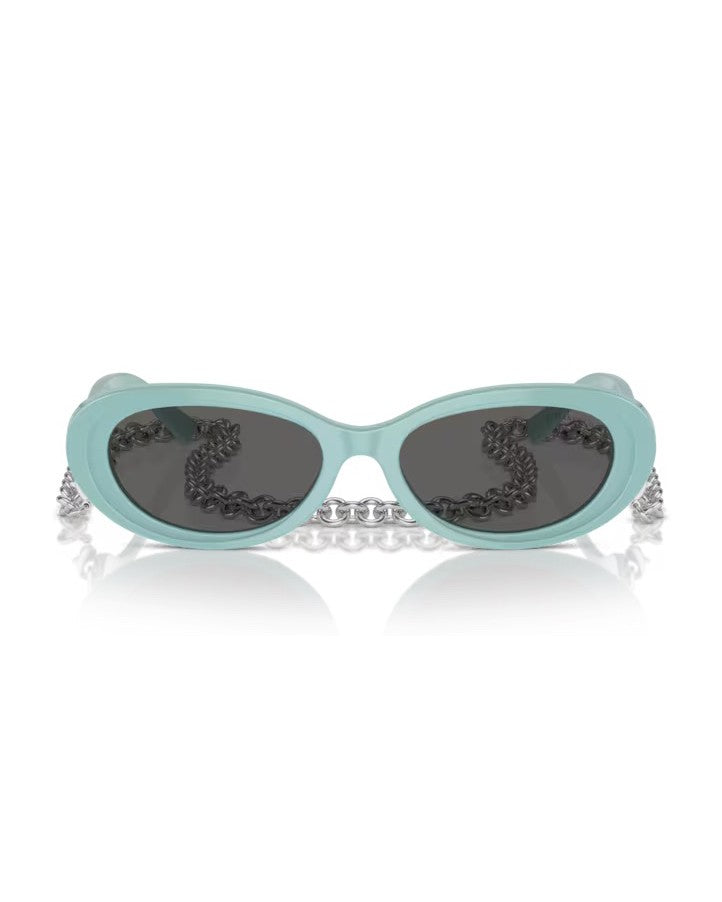 Tiffany & Co. Tiffany Blue Sunglasses With Dark Grey Lenses