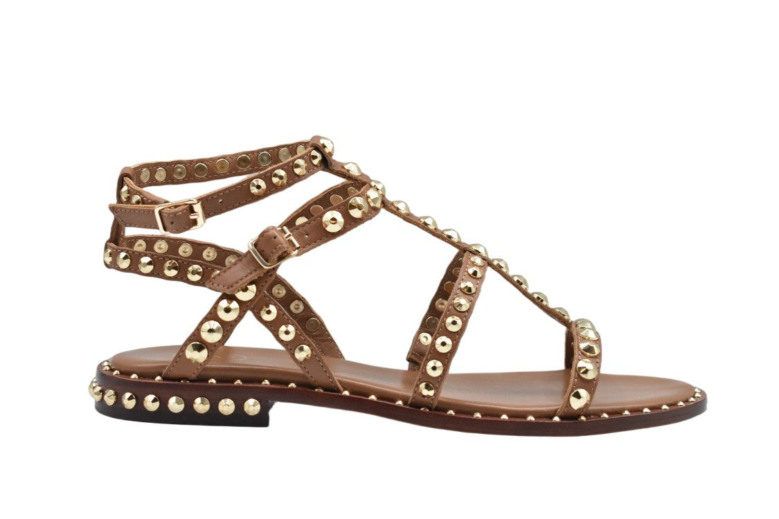 Ash Cinnamon Laced Elegance Comfort Flat Shoes