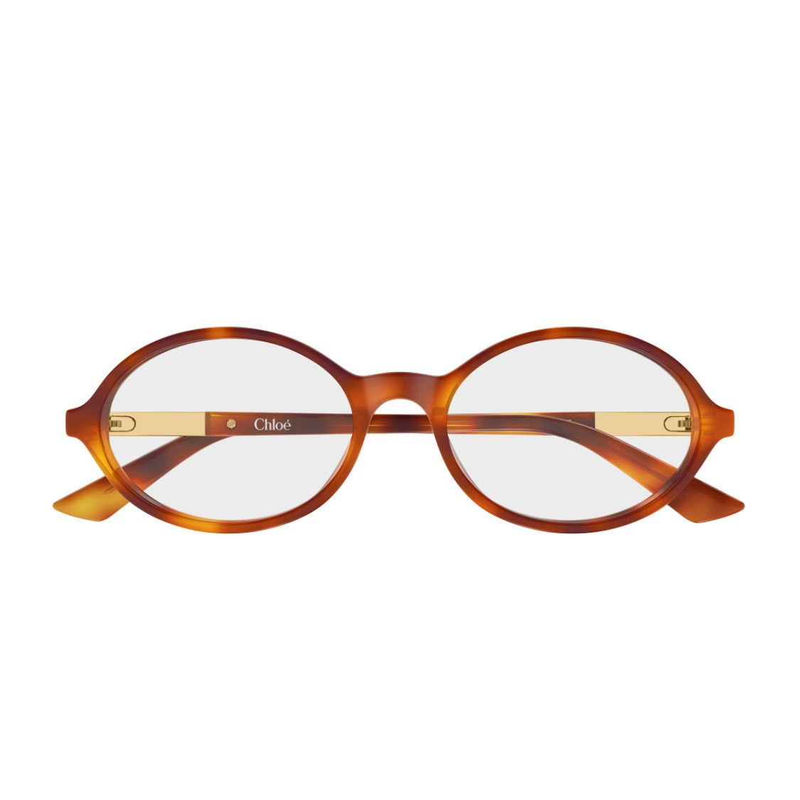 Chloé Havana Softly Injected Oval Glasses