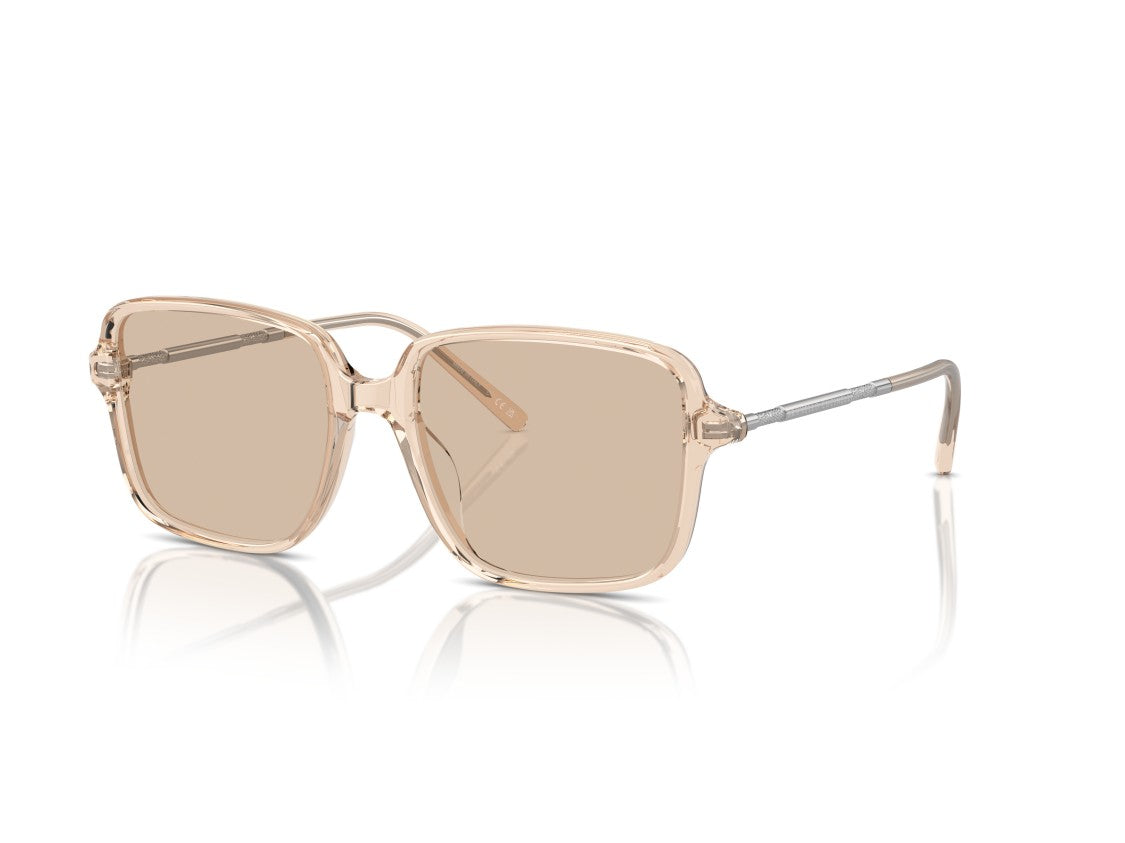 Brunello Cucinelli 0Bc3001 Translucent Acetate Oversized Square Sunglasses