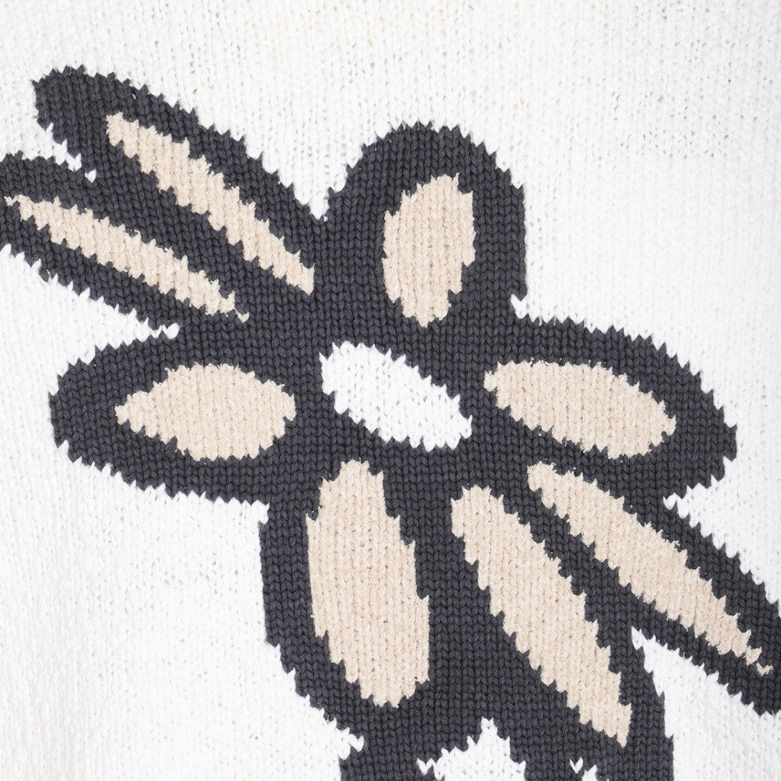 Maison Kitsuné Cotton Knit Sweater With Graphic Floral Design