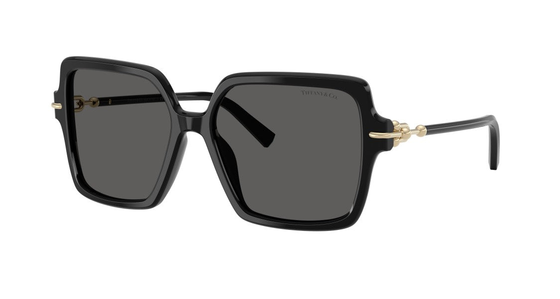 Tiffany & Co. 0Tf4260u Oversized Square Black Sunglasses
