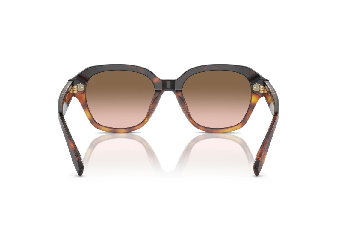 Brunello Cucinelli Gold 0Bc4004s Tortoiseshell Acetate Oversized Square Sunglasses