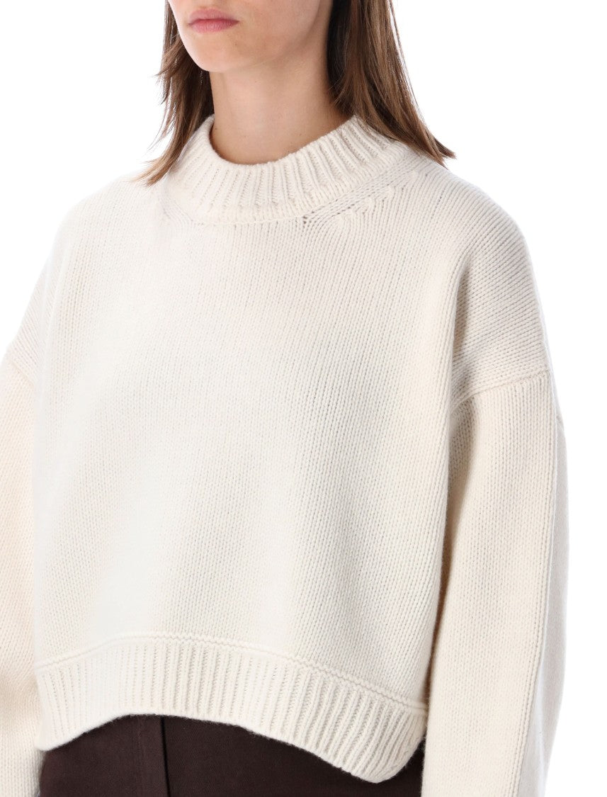 Sessùn Spero Chunky Knit Cropped Crewneck Sweater