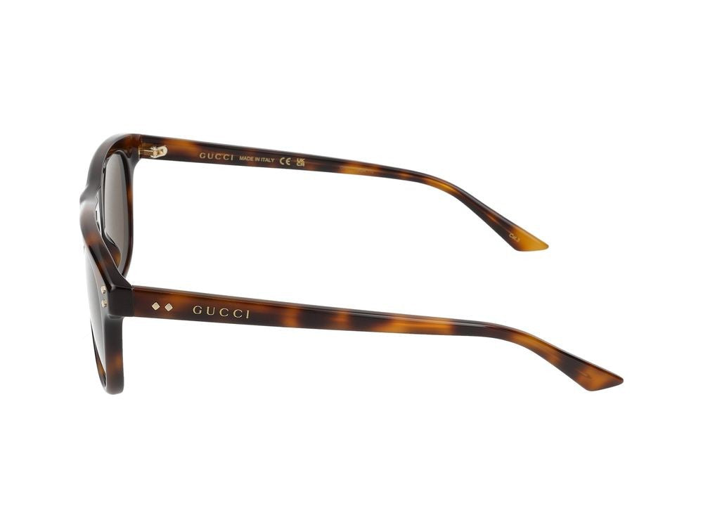 Gucci Sunglasses Gucci Gg1893s 002 Havana Havana Brown 53/18/145