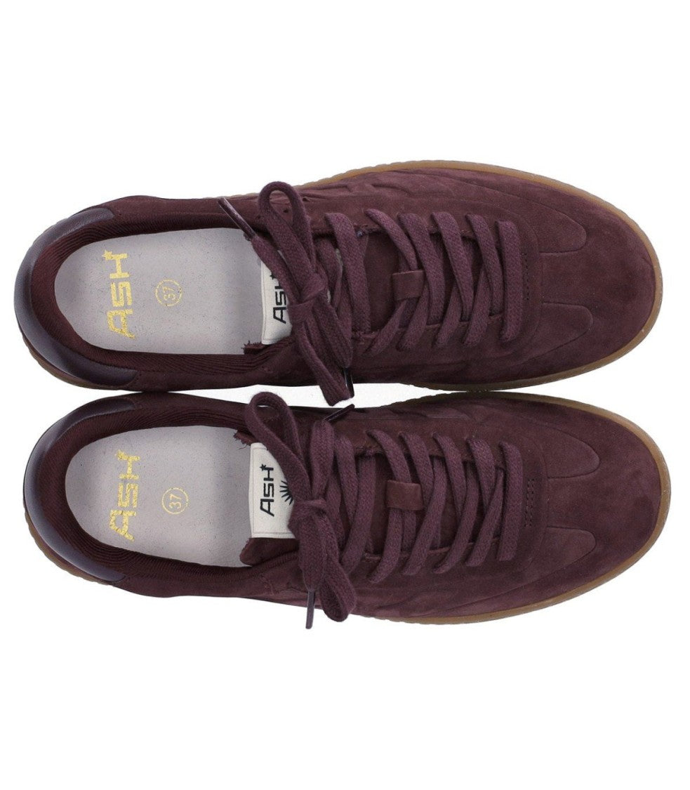 Ash Siena Burgundy Sneaker