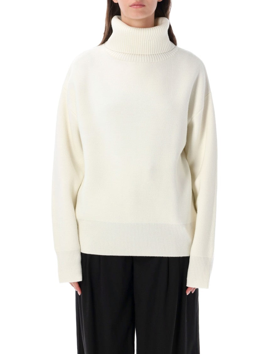 Rhea Thick Ribbed Relaxed Silhouette Turtleneck Sweater