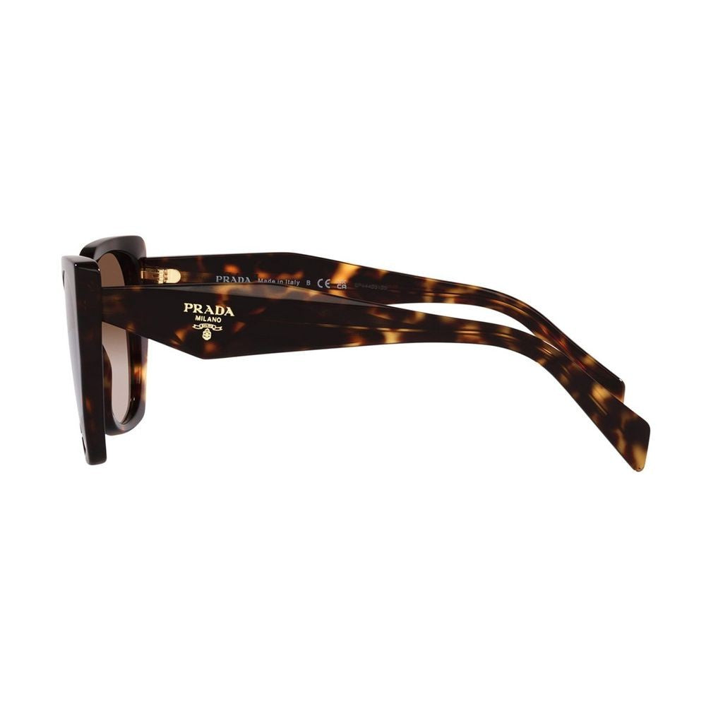 Prada Pr19zs Symbole Oversized Square Havana Acetate Sunglasses