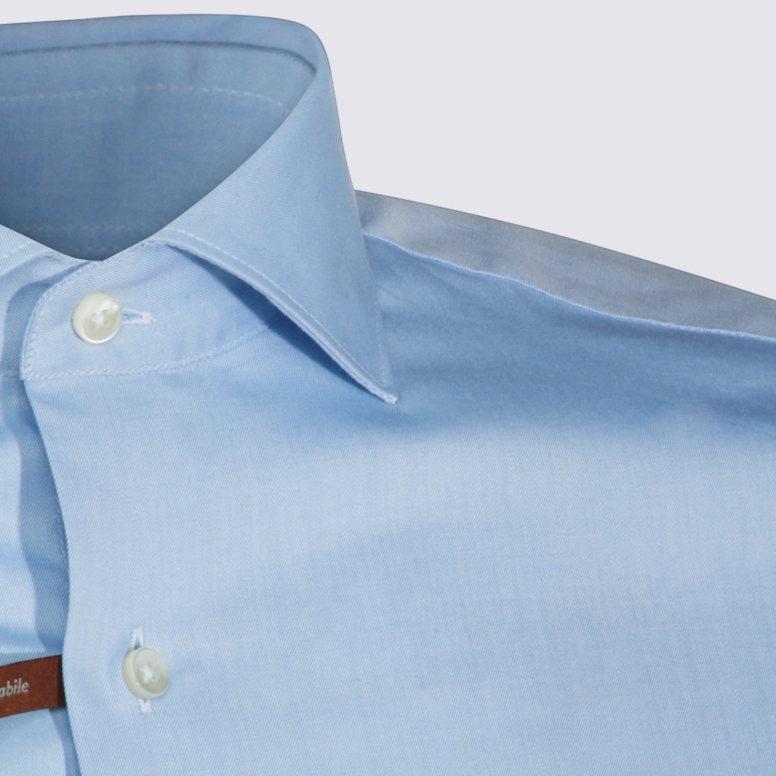 Canali Pointed Collar Long-Sleeve Dress Shirt With Button-Down Front