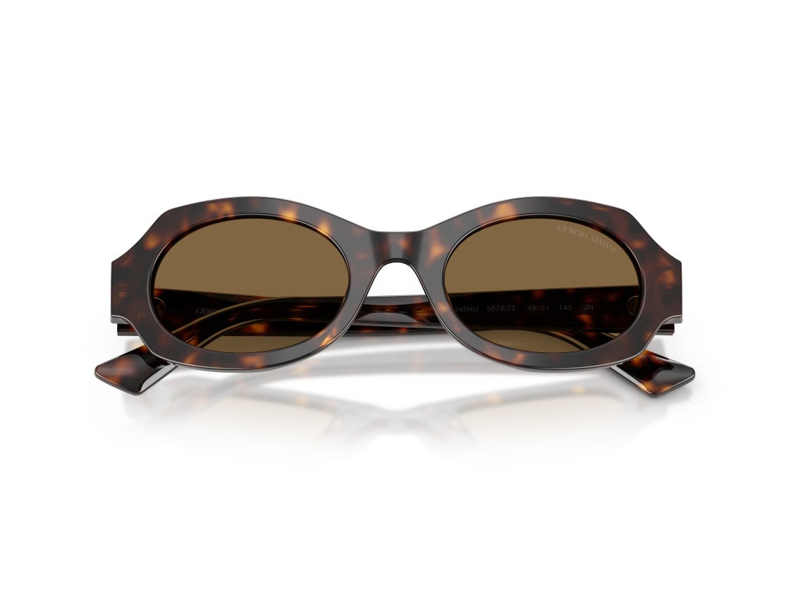 Giorgio Armani 0Ar8245hu Tortoiseshell Acetate Sunglasses