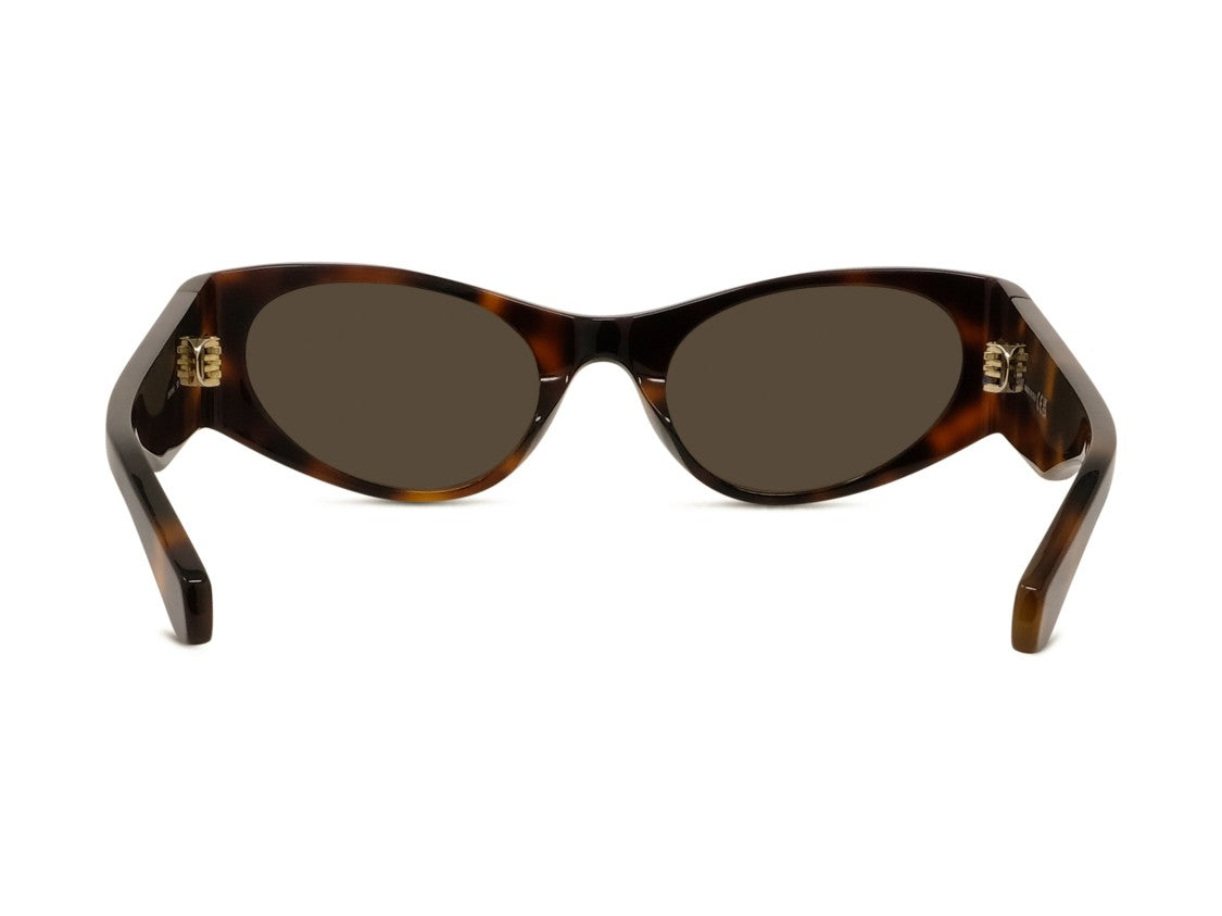 Loewe Lw40196u Bold Cat-Eye Tortoiseshell Acetate Sunglasses