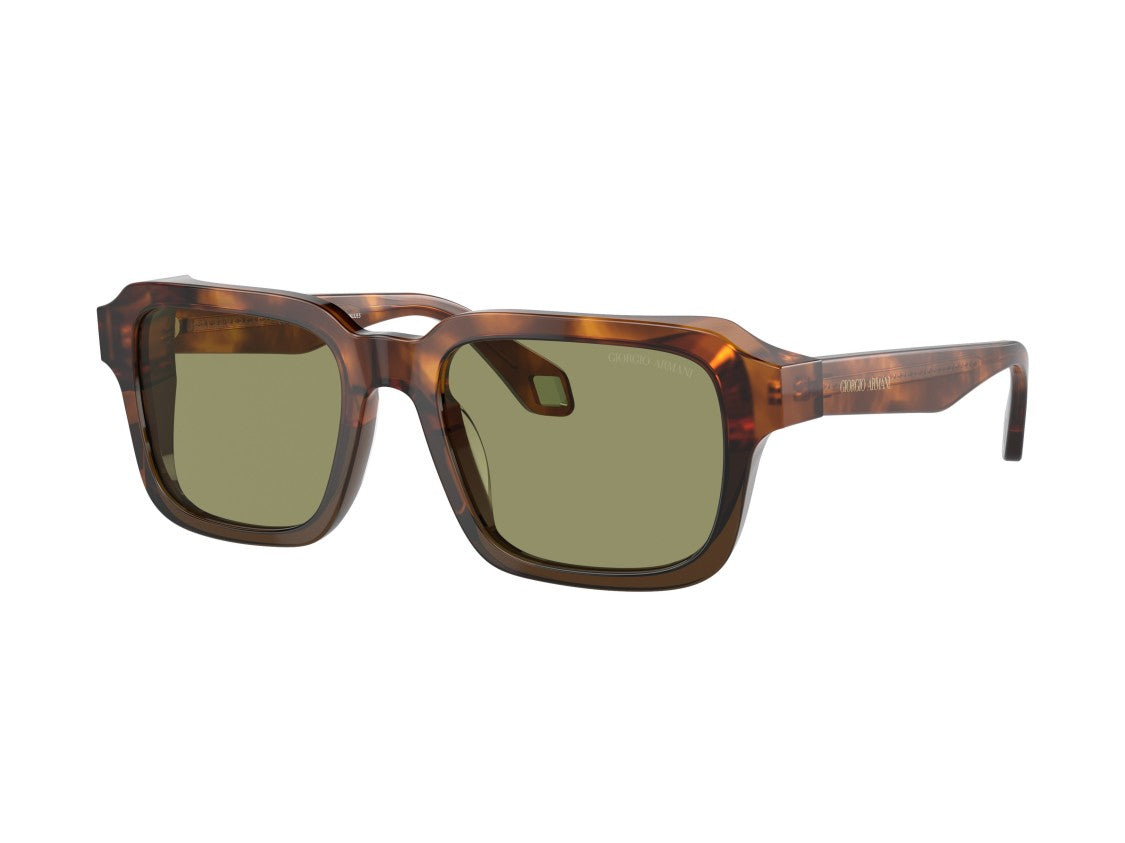 Giorgio Armani Tortoiseshell 0Ar8194u Oversized Square Sunglasses
