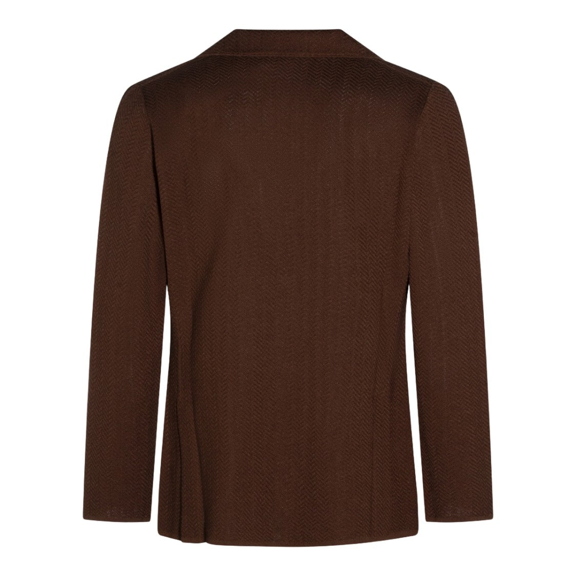 Lardini Textured Brown Blazer With Classic Two-Button Closure