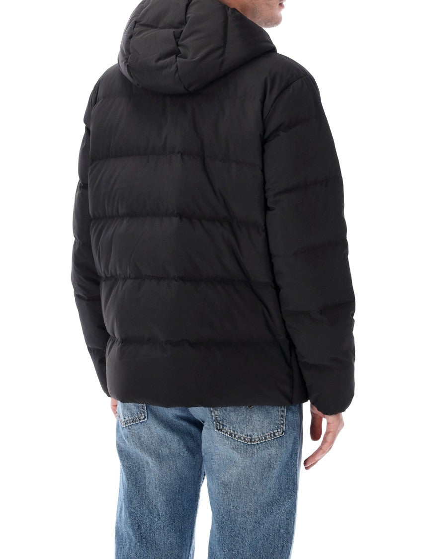 Patagonia Sisar Down Hooded Jacket
