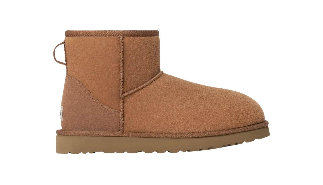 Ugg Brown Suede Ankle Boots