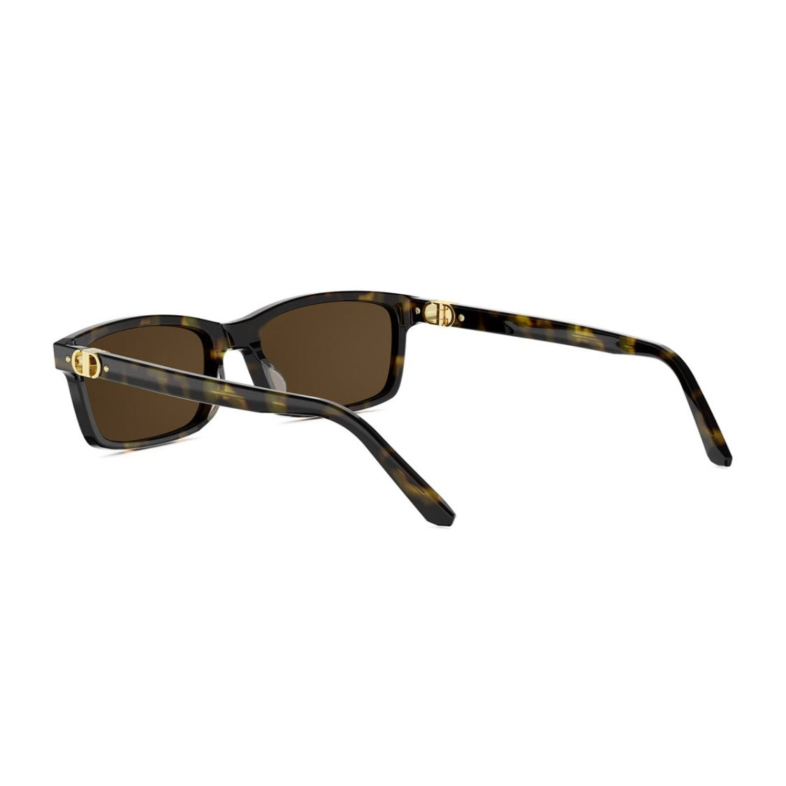 Dior Havana Petit Cd S1i Rectangular Sunglasses