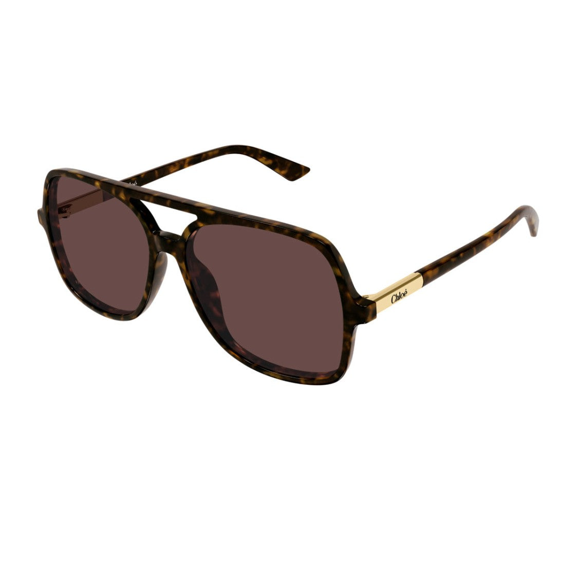 Chloé Havana Ch0364s Oversized Acetate Aviator Sunglasses