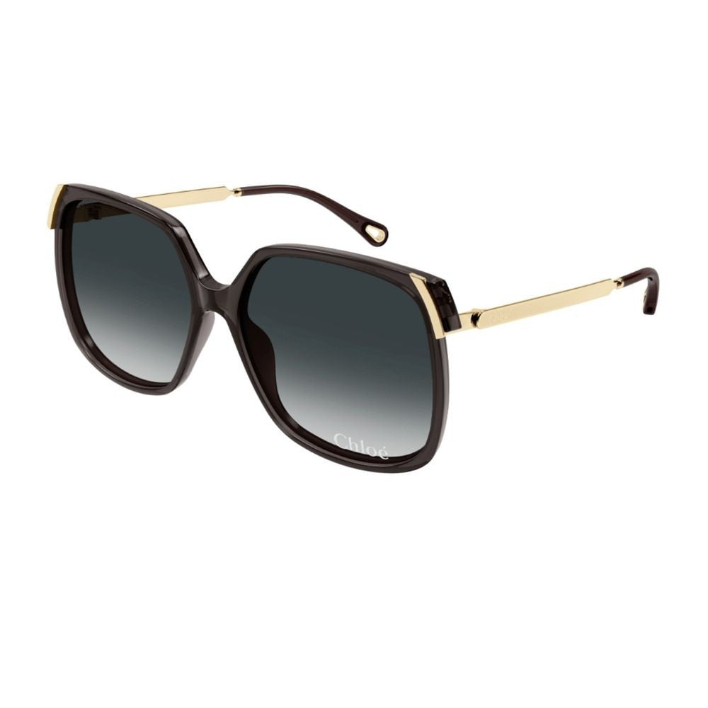 Chloé Ch0286s Aly Linea Chloé Oversized Square Sunglasses