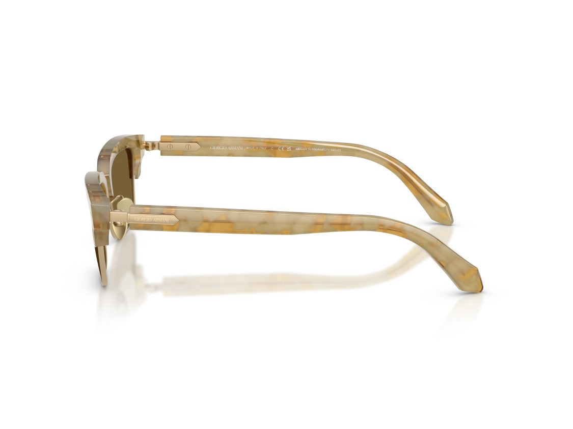 Giorgio Armani Gold 0Ar8243 Translucent Acetate Square Sunglasses