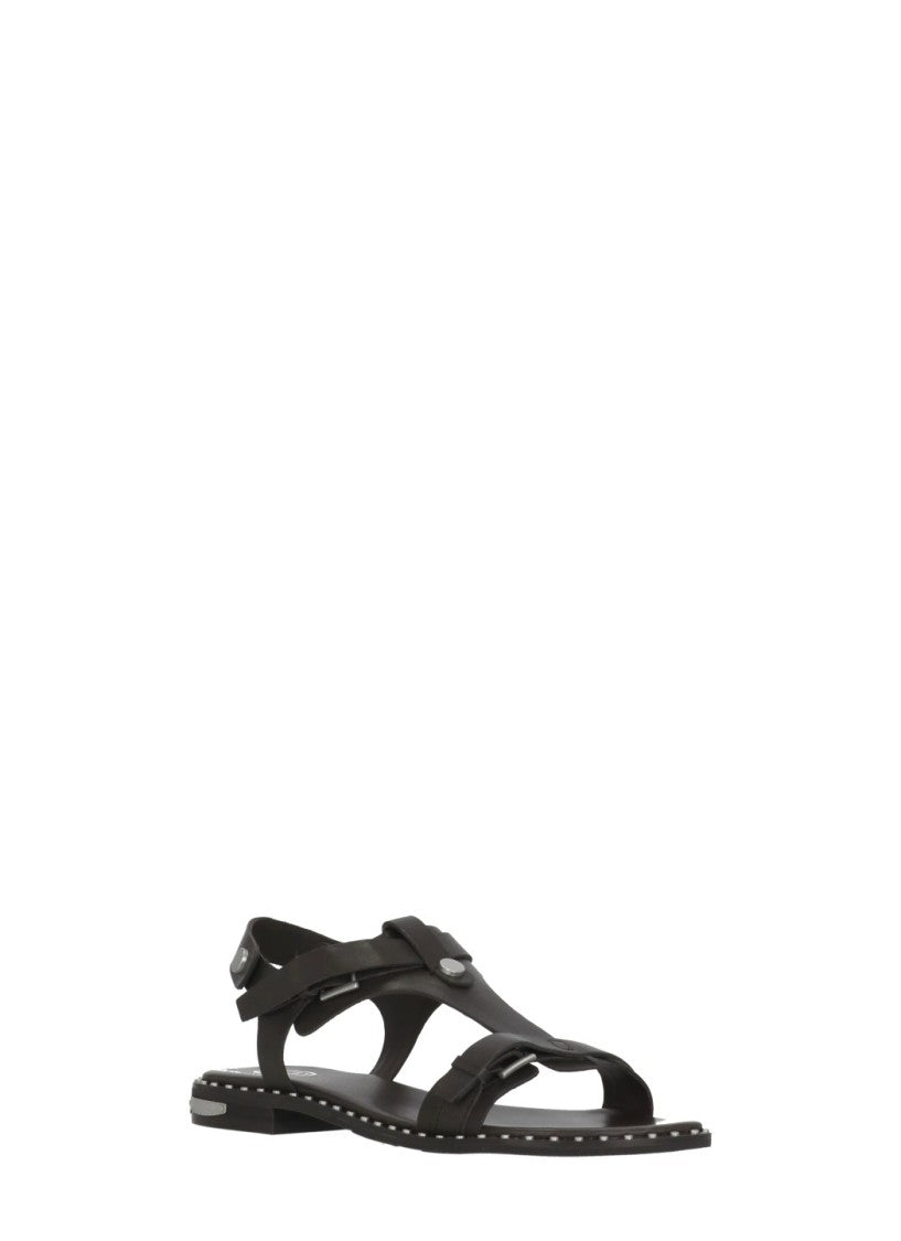 Ash Brown Piper Studded Leather Sandals