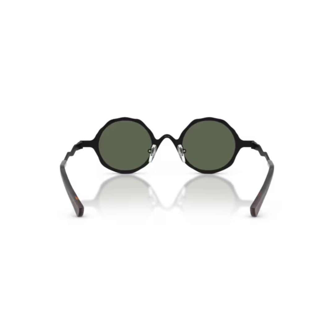 Emporio Armani 0Ea2166 Round Metal Frame Sunglasses With Textured Temples