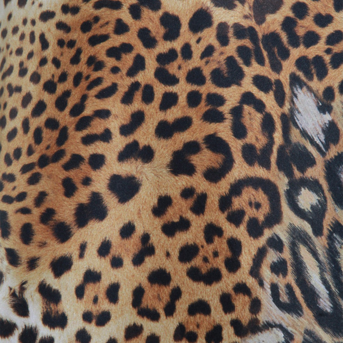 Roberto Cavalli Leopard Print Top With Relaxed Fit