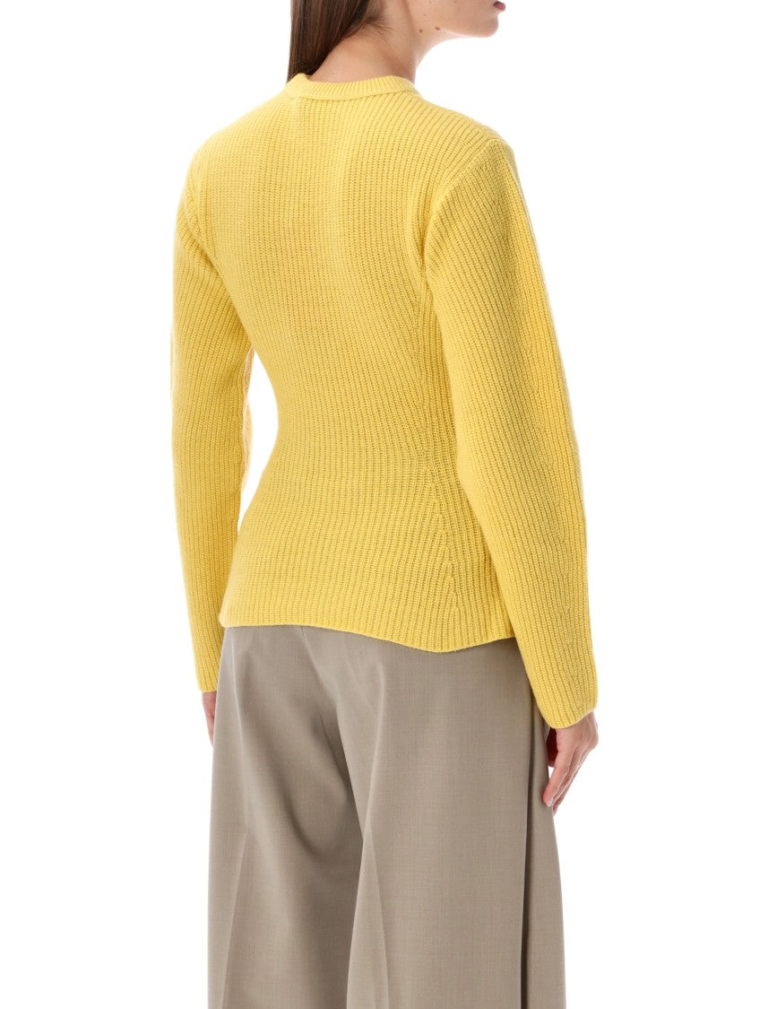 The Latest Elodie Kirman Ribbed Knit Crewneck Sweater