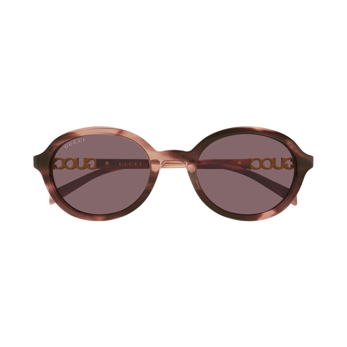 Gucci Gg2033sa Translucent Brown Acetate Sunglasses