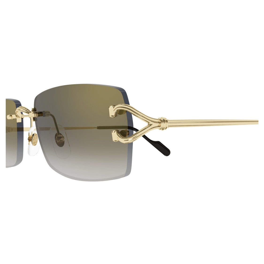 Cartier Ct0550s Acetate Rectangular Sunglasses
