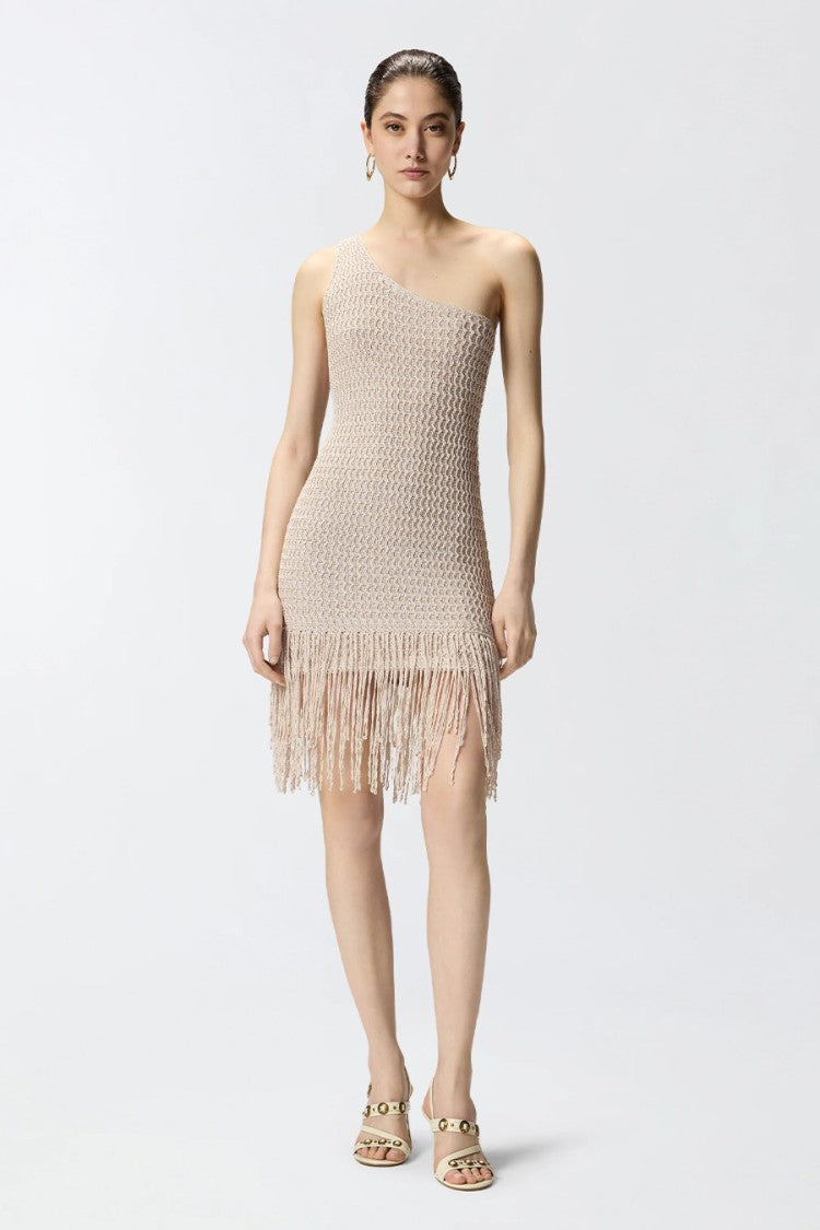 Pinko Grey Juniperos One-Shoulder Fringed Viscose-Blend Mini Dress
