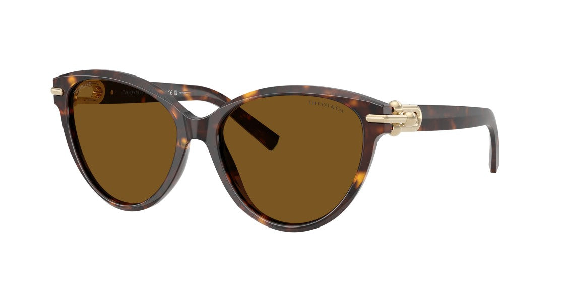 Tiffany & Co. 0Tf4261 Rounded Cat-Eye Sunglasses