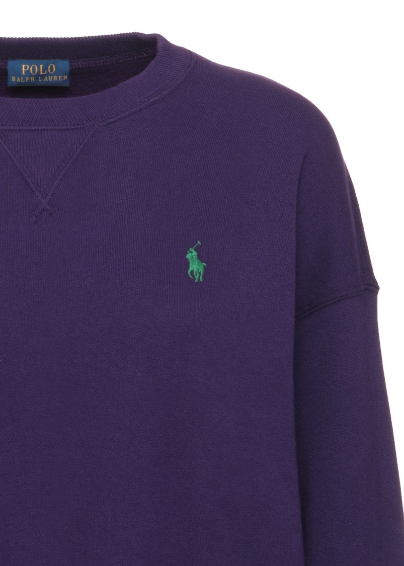 Polo Ralph Lauren Purple Green Embroidered Pony Cotton Hoodie