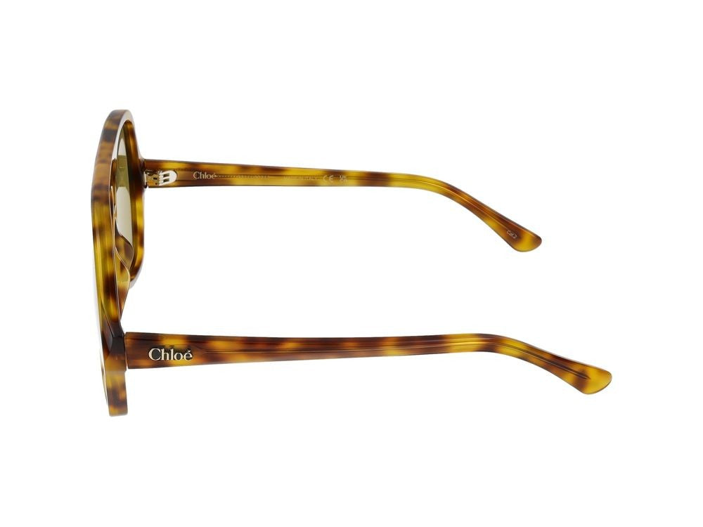 Chloé Sunglasses Ch0289s 003 Havana Havana Green 58/14/140