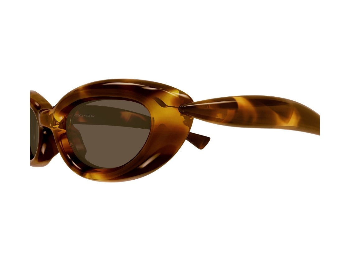 Bottega Veneta Bv1484s Tortoiseshell Pattern Oversized Cat-Eye Sunglasses