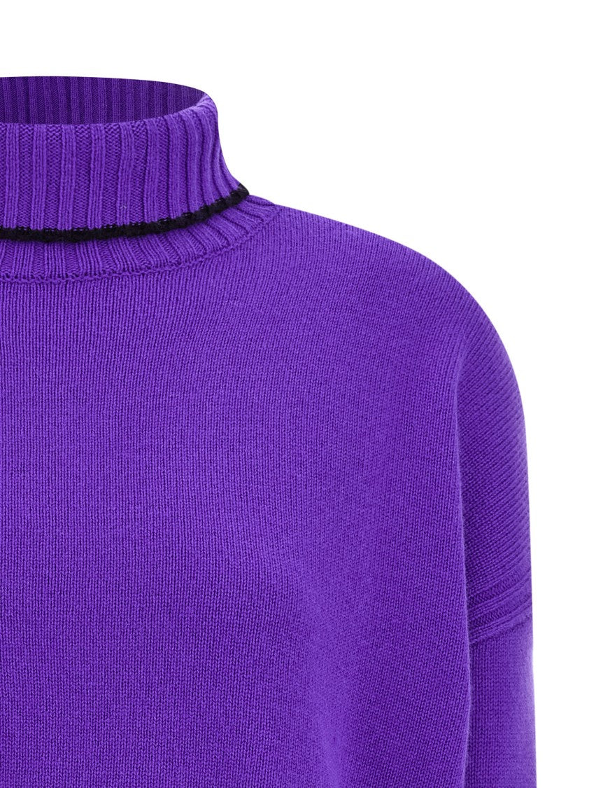 Pinko Falkland' Turtleneck Sweater